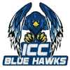 Negros Blue Hawk